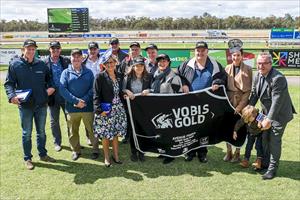 Prince Of Sussex & Owners, Vobis Goldrush